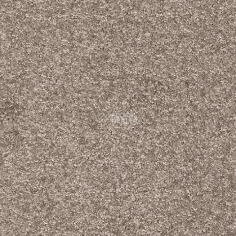 Ковролин AW Gaia Equinox 49 фото 1 | FLOORDEALER
